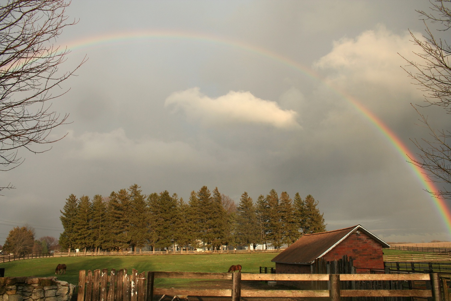 Rainbot over East Pasture